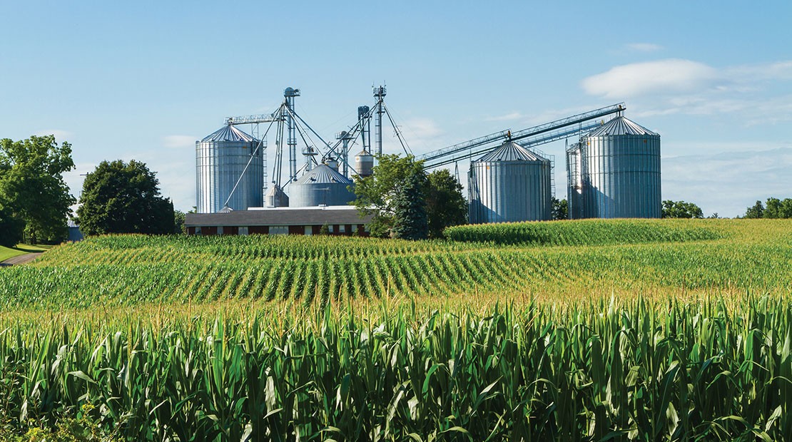 Digging into Agribusiness: Growing Green, Earning Green!